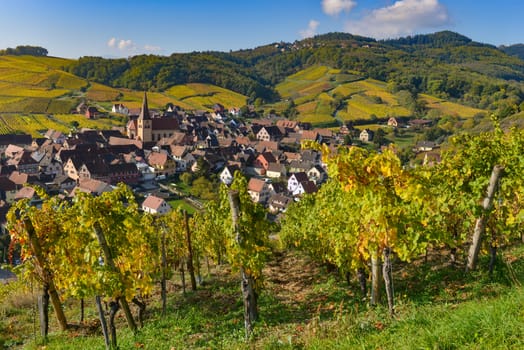 Niedermorschwih, Alsatian vineyards, Alsace, France, Europe, Autumn, Mountain,
