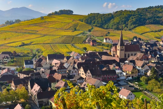 Niedermorschwih, Alsatian vineyards, Alsace, France, Europe, Autumn, Mountain,