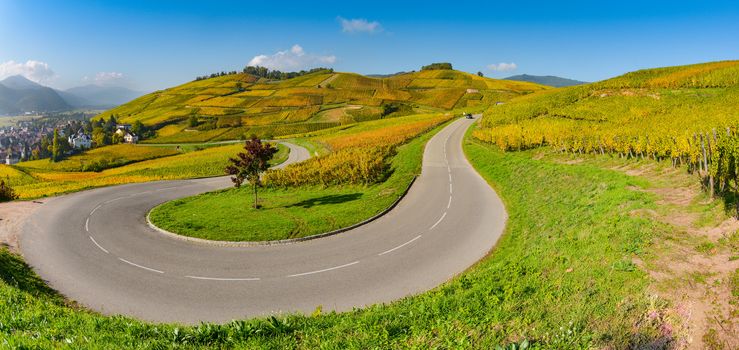 Wine Road, Vineyards of Alsace in France, Europe