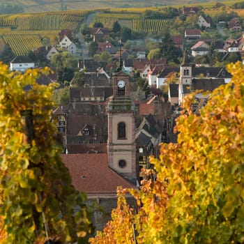 Alsace village, vineyard, Riquewhir, France, Europe, Automn