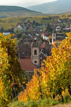 Alsace village, vineyard, Riquewhir, France, Europe, Automn