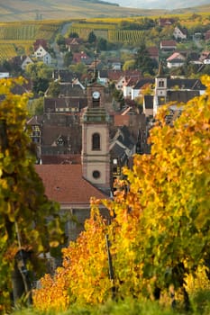 Alsace village, vineyard, Riquewhir, France, Europe, Automn