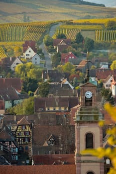 Alsace village, vineyard, Riquewhir, France, Europe, Automn
