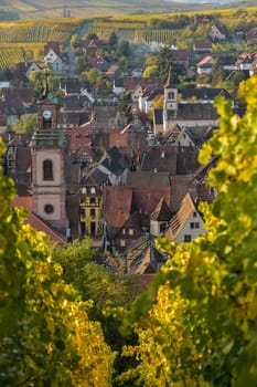 Alsace village, vineyard, Riquewhir, France, Europe, Automn