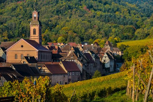 France, Haut-Rhin, 68, Alsace Wine Route, Kaysersberg, the vineyard, the Sainte-Croix church and the keep of the imperial castle