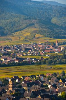 France, Haut-Rhin, 68, Alsace Wine Route, Kaysersberg, the vineyard, the Sainte-Croix church and the keep of the imperial castle