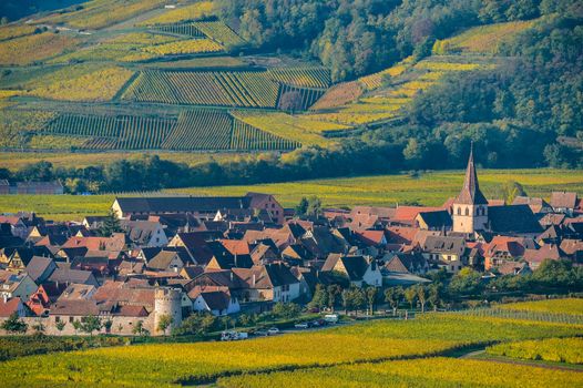France, Haut-Rhin, 68, Alsace Wine Route, Kaysersberg, the vineyard, the Sainte-Croix church and the keep of the imperial castle