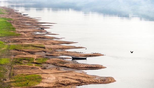 Coastline erosion on the Ganges River. Crops of agricultures in the delta of the river are penetrated by net of gullies. Destruction of the coast is caused by tropical rains. Birds have chosen river shallows and fishing boats.