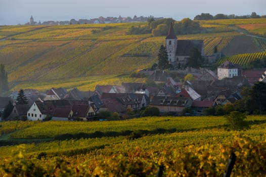 Fortified and medieval church in vineyard in autumn, France