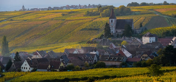 Fortified and medieval church in vineyard in autumn, France