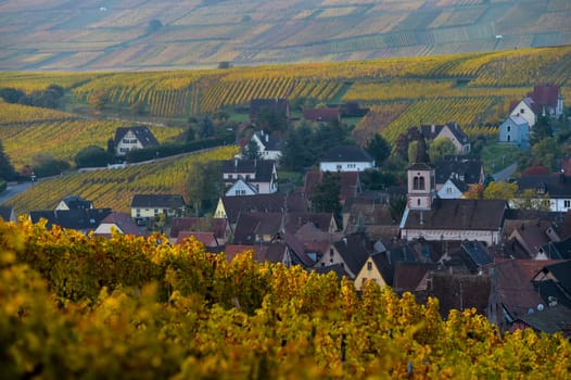 Alsace village, with vineyard, Riquewhir France Europe