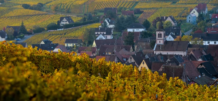 Alsace village, with vineyard, Riquewhir France Europe