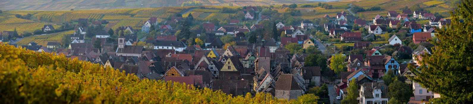 Alsace village, with vineyard, Riquewhir France Europe