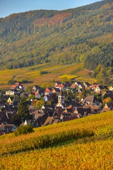 Fortified and medieval church in vineyard in autumn, France