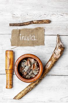 root of the medicinal plant inula on white background