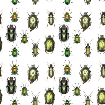 Green Gold Pattern - Set of Green Beetles