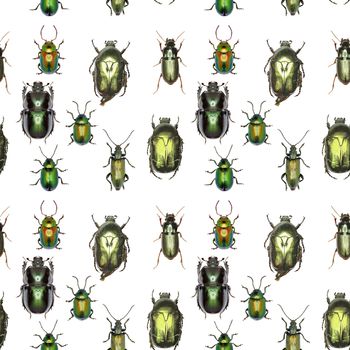 Green Gold Pattern - Set of Green Beetles