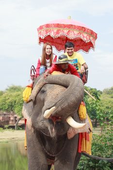 AYUTHAYA THAILAND-SEPTEMBER 6 : tourist riding on elephant back past ancient pagoda in Ayuthaya famous world heritage sites of unesco central of thailand on september6,2014 in Ayuthaya Thailand