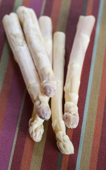 Bunch of white asparagus, Food, France