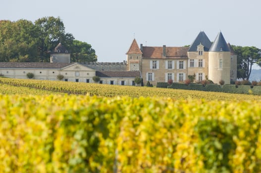 Vineyard and Chateau d'Yquem, Sauternes Region, France