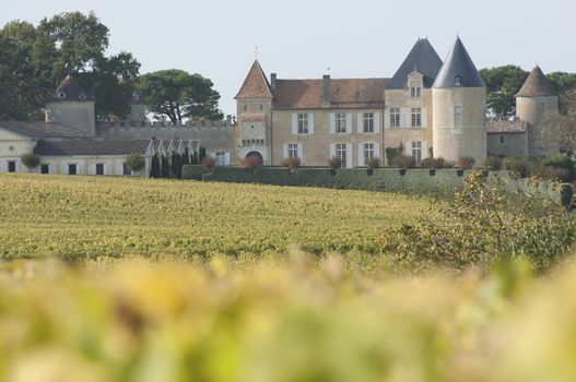 Vineyard and Chateau d'Yquem, Sauternes Region, France