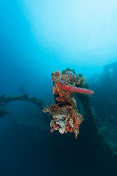 sunken ship wreck underwater diving Sudan Red Sea