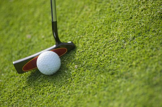 Golf club and ball in grass, France