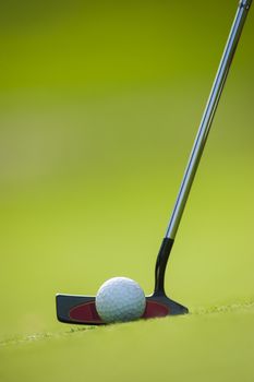 Golf club and ball in grass, France