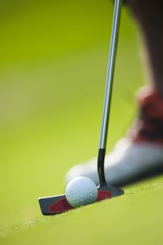 Golf club and ball in grass, France