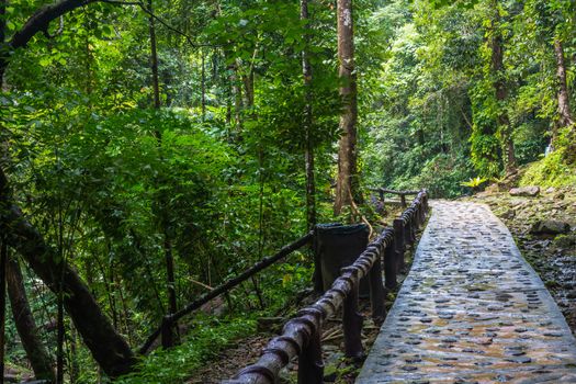 Huai-To waterfall in famous Krabi province, Thailand.







Haui-To waterfall in famous Krabi province, Thailand.