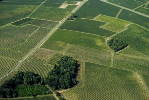 Aerial view of Bordeaux vineyard, France, Europe