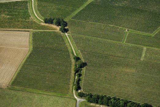 Aerial view of Bordeaux vineyard, France, Europe