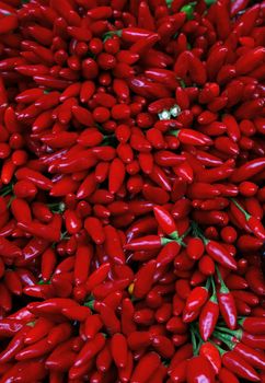 Red hot chili peppers bunches at retail farmers market stall display, close up background pattern, elevated top view