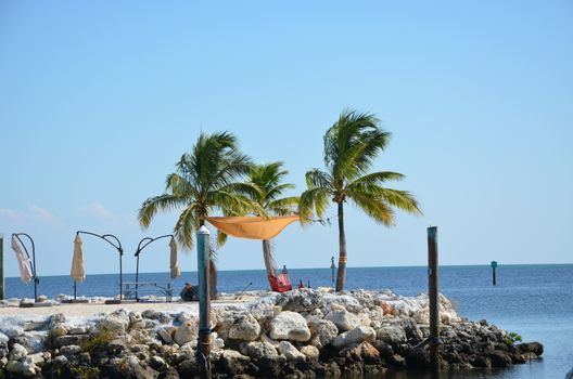 A quiet place to sit and enjoy the ocean in the florida keys. Two charis and a few palm trees complete the scene.