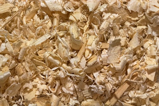 Background of randomly placed wooden shavings. Large swirling sawdust softwood. Texture or backdrop for industry or ecology design projects.