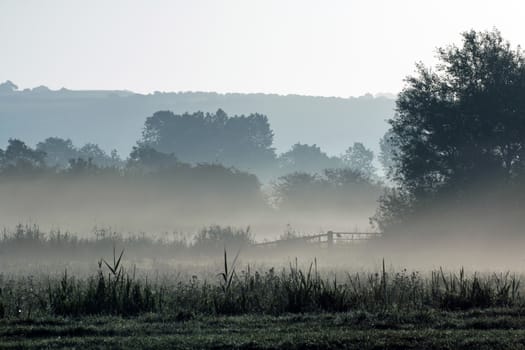 Early morning mist across meadow at Arundel, West Sussex