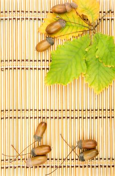 leaves of oak acorns on a mat from straw