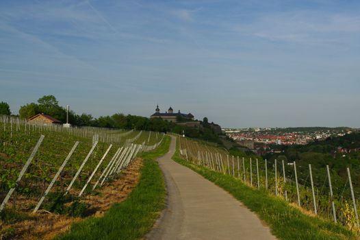 a road with Vineyard landscape view to the castle Marienberg Wuerzburg Bavaria, Germany