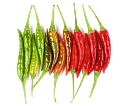 Arrangement of Perfect Shiny Red, Orange and Green Hot Chili Peppers In a Row isolated on White background