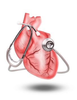 healthy heart  with stethoscope on white background use for heart medical topic