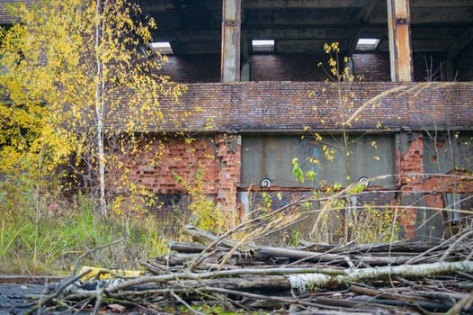 ruins of a very heavily polluted industrial factory, industrial series