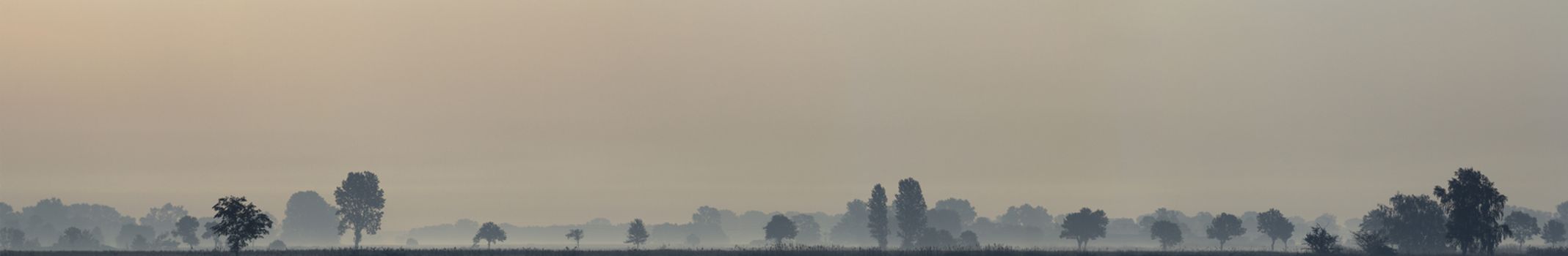 morning fog over a meadow, nature series