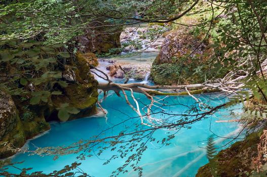 Urederra River (Navarra, Spain) takes an amazing blue color near its spring.