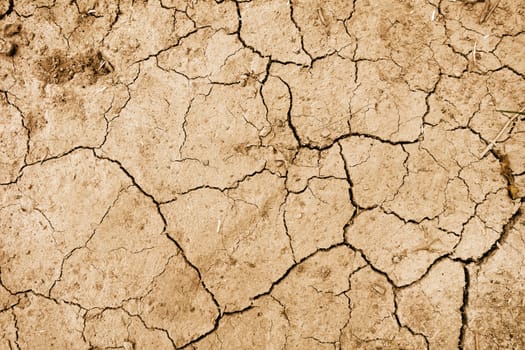dry mud background texture. Global Warming                               