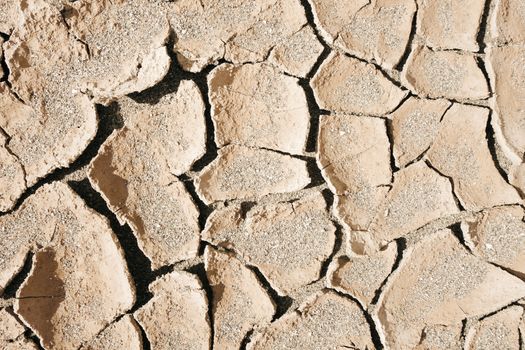 dry mud desert background texture. Global Warming                               