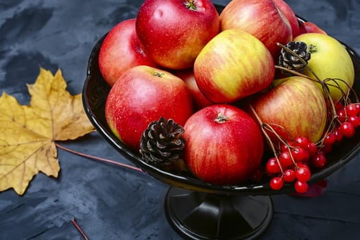 Autumn fruit of the Apple tree in vase on background with maple leaves