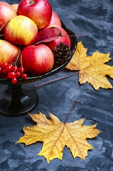 Autumn fruit of the Apple tree in vase on background with maple leaves