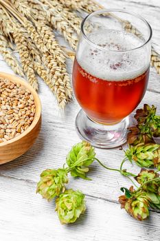 Twig beer hops and seed in the wooden tub