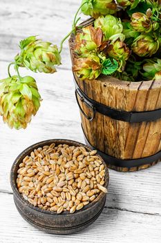 Twig beer hops and seed in the wooden tub
