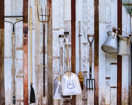 farm tool pitchfork and two shovels against old wooden wall use as rural farm scene 